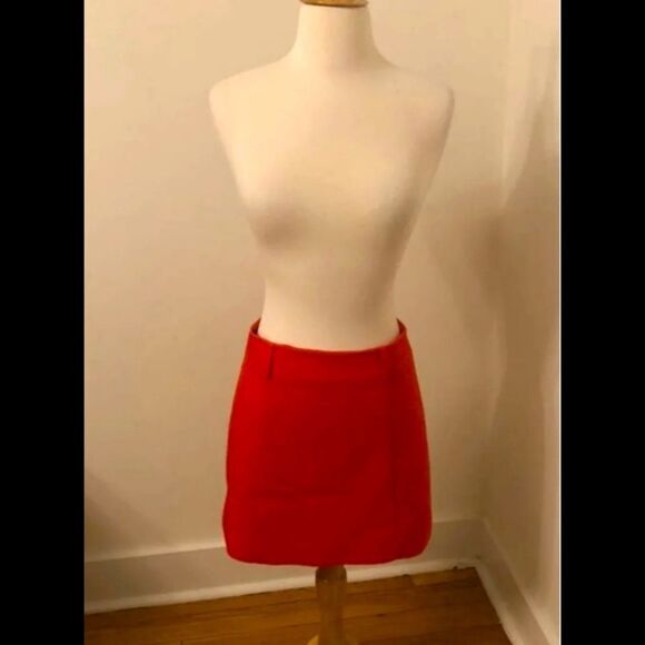 Express Mini Skirt - Picture 1 of 3